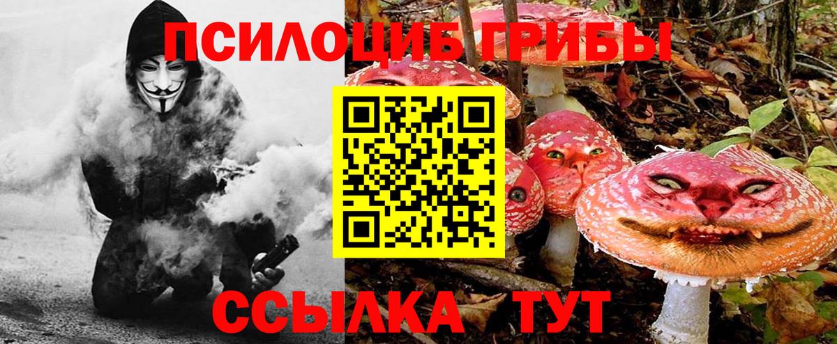 Галлюциногенные грибы Psilocybine cubensis Прокопьевск